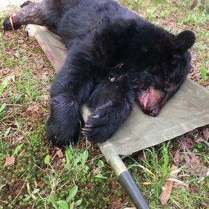 Meet your Posher, Blake